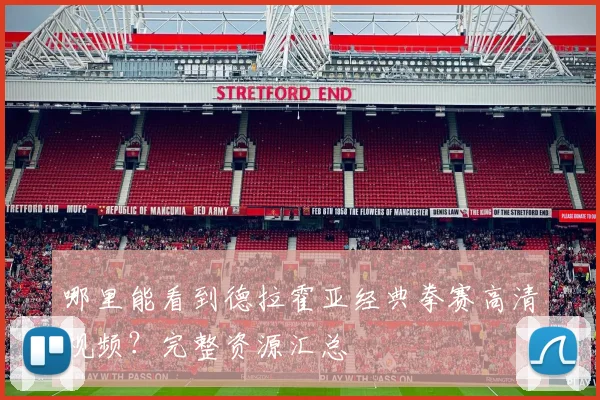 哪里能看到德拉霍亚经典拳赛高清视频?完整资源汇总