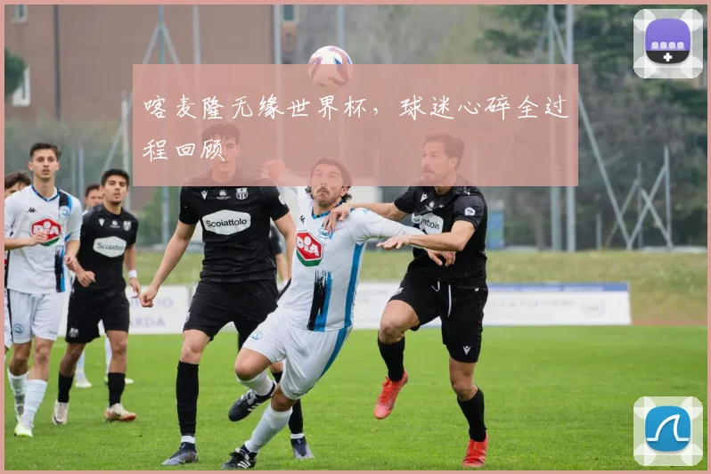 喀麦隆无缘世界杯,球迷心碎全过程回顾